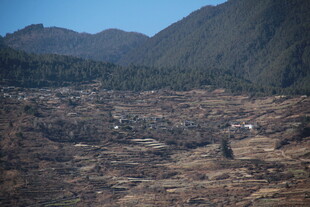 山间开阔地的村落景观