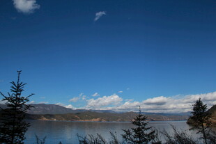 蓝天湖泊旁的葱郁树木