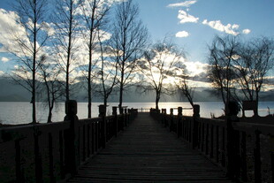 湖畔木栈道的静谧风光