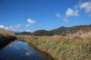 山间小河畔的清新自然景