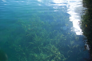 清澈湖水与水底景致