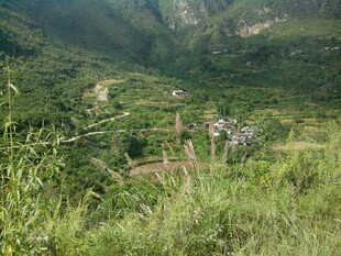 山间绿意盎然的自然风光