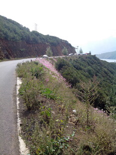 蜿蜒山间公路