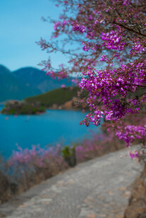 湖畔繁花伴小径美景