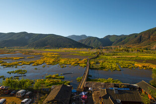 湿地风光 小船静泊美景