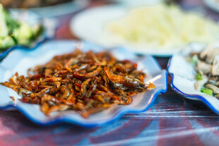 美味特色炸物摆于桌前