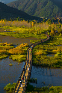 秋日河畔木桥的美丽风光