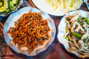 多样美味炒菜摆放在盘中