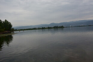 宁静湖面与岸边绿树风景