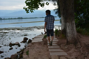 男子漫步于水边木栈道