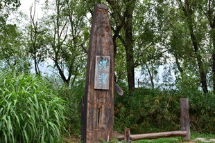 户外木桩标识牌与绿植