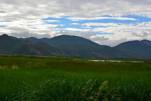 草原远山与多云天空