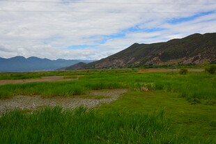 草原风光 远山与绿地