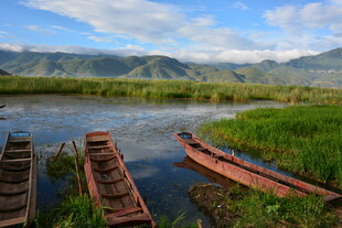 河畔木舟 自然风光如画