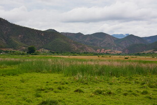 草原山峦间的清新景致