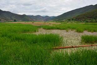 山间绿野田园风光