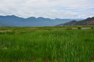 草原绿野与远山美景