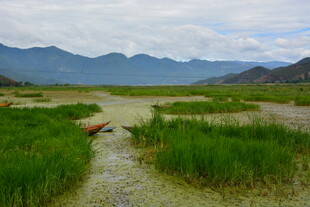 山间湿地 绿野溪流之景