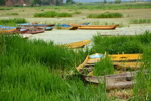 河畔小船与葱郁草地