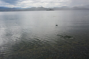 宁静湖面与远处山峦景色