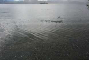 湖面孤舟泛于薄雾之中