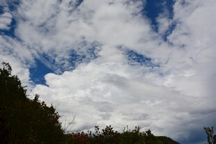 蓝天白云下的山林景致