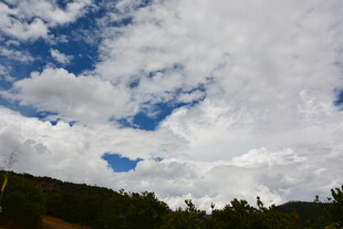 蓝天白云下的山林美景