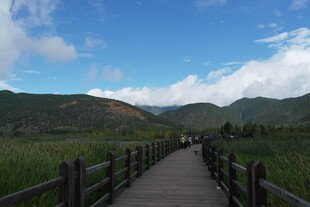 山间木栈道 绿野蓝天景