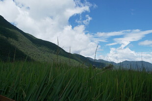 山间绿野蓝天美景