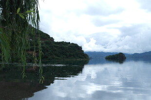 宁静湖畔垂柳映碧水