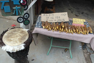 街头售卖的特色乐器及物品