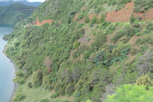 山间湖畔绿意盎然的景致