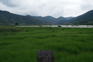 绿野青山间的宁静风光