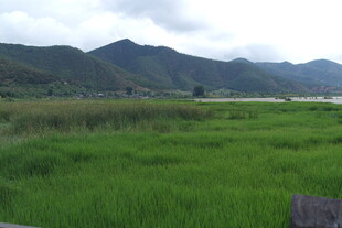 绿野青山间的田园风光