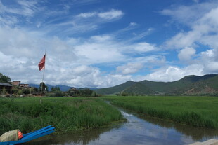 河畔风光 远山近水绿意浓