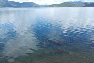 宁静湖水与远处山峦