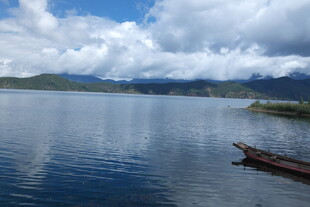 宁静湖面与漂浮木头