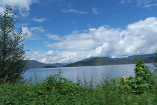 湖畔风光 蓝天白云伴绿植