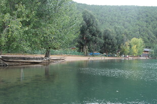 湖畔绿树成荫的宁静风光