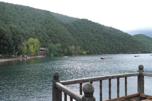 湖畔木栏观景处