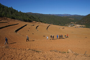 山坡上的人群与自然风光