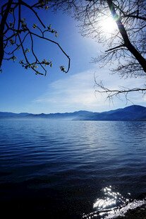 湖畔蓝天美景 树影婆娑