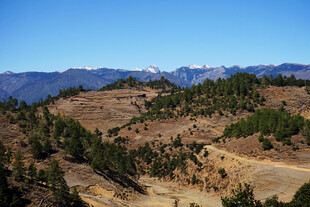 山间景致 远观葱郁山峦