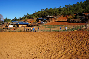 乡村田野风光 宁静村落