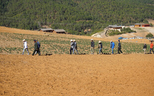 农民田间劳作场景