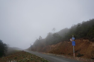 雾中蜿蜒公路景象
