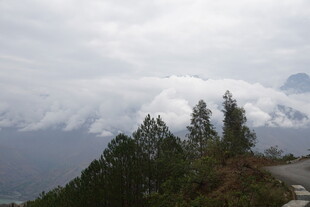 云雾缭绕山林美景