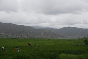 绿野山峦间的悠然景致