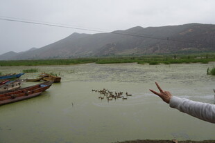 湖畔泛舟 伸手迎飞鸟