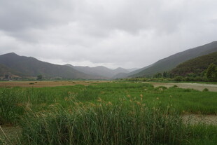 山间绿野 云雾缭绕之景